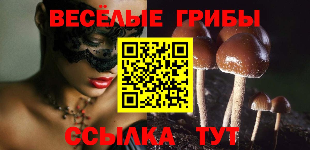 продажа наркотиков  Псилоцибиновые грибы Cubensis  Вход с VPN  Валуйки 